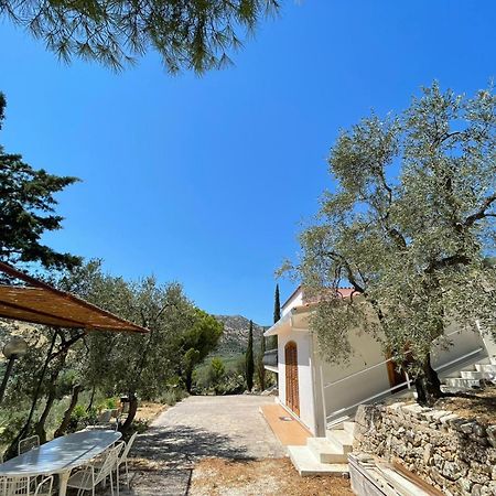 Colori Del Sud - Residence Mattinata Exterior photo